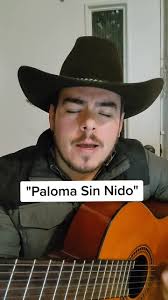 Paloma Sin Nido Guitarra