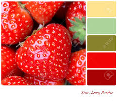 A few words of encouragement. A Background Of Fresh Juicy Strawberries Colour Palette With Stock Photo Picture And Royalty Free Image Image 16811285
