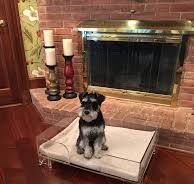 Acrylic Pet Bed- Purple