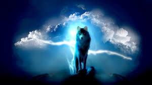 Image result for wolf art