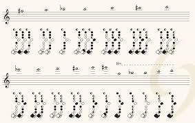 fingering charts for the helder tenor artistic research