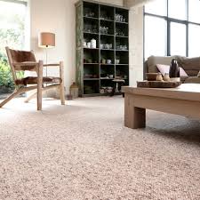 Les 2 produits pour : Moquette Jonc De Mer Et Sisal Leroy Merlin