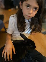 Many. Bunnys to rehome. Not meat. Bunnys. Male bunnys If interested contact  me!￼