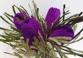 Banksia Tint Purple Purple Wedding Flowers Flowers