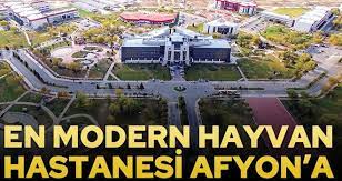 bolgenin en modern hayvan hastanesi afyon a yapiliyor