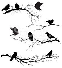 Transparent Bird On Branch Silhouette Crows Perched On Branches Crow Silhouette Bird Stencil Bird Silhouette