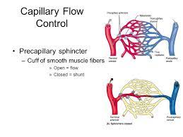 Pin On Shock Head Injuries