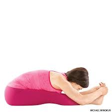 Seated Forward Bend Paschimottanasana Yoga Pose Seated Yoga Poses Easy Yoga Poses Yoga Poses