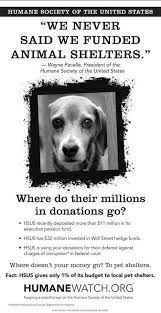 Why I Support The Aspca And Will Never Support The Hsus Do The Same Or Support Local Shelters Animal Shelter Animals Humane Society