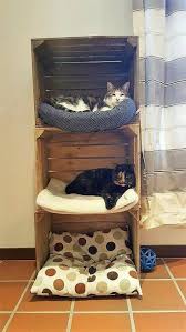 Als je niet wil dat jou kat dat aan jou meubilair gaat doen, dan is het zeker verstandig om zelf een krabpaal van hout te maken met een bouwtekening. Crate Cat Community Cat House Diy Diy Stuffed Animals Cat Furniture