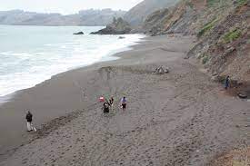 Save big with exclusive rates! Black Sands Beach Sausalito Ca California Beaches