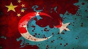 Doğu türkistan'da kamptan çıkanların başına bunlar geliyor! Kampanya Cin Zulmune Sessiz Kalmayan Herkes Zulmun Oldugu Yerde Tarafsizlik Namussuzluktur Zulme Sessiz Kalma Cunku Her Sey Bittiginde Hatirlayacagimiz Sey Dusmanlarimizin Sozleri Degil Dostlarimizin Sessizligi Olacaktir Change Org