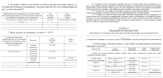 Deklaraciya O Dohodah I Imushestve Primer Zapolneniya Blanka Forma Deklaracii O Godovom Dohode I Imushestve Fizicheskih Lic
