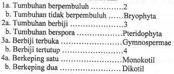Pete cina (leucaena glauca) 4). Kunci Jawaban Perhatikan Kunci Dikotom Berikut Ini Kunci Dikotom Untuk Kacang Tanah Adalah Rofa Education Centre