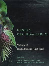 Image result for Holothrix aphylla