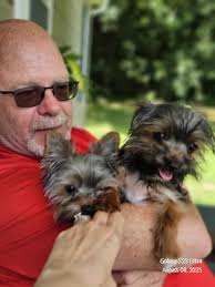 Let's welcome our new members! Phillip A Flusche, Dananjaya Dilshan,  Lindsey Moody, Julie Schmidt, Sarah Graffrath, Dawn Frye, Carla Martinez,  Alyssa Herrera, Dianov Kobytev, Michelle Mariani, Jaime Porter, Sheila  Vance Sandberg, Karen