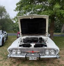 Image result for Rose Mist 1961 Polara
