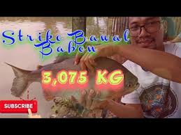 Stasiun Atau Pasar Bekas Stasiun Deli Tua Telusur Jalur Ka Medan Deli Tua Part 6 Youtube