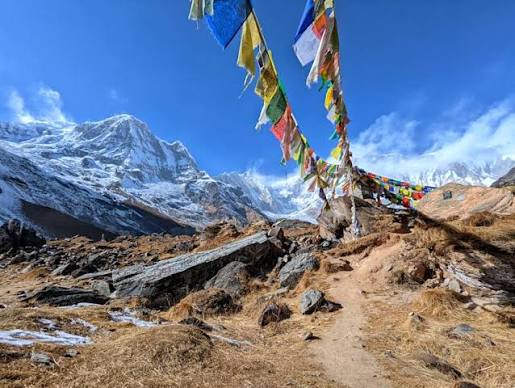 Trekking Annapurna: Everything You Need to Know