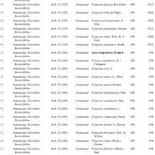 Image result for Hyparrhenia mobukensis