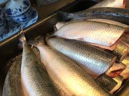 01:24 scrumbia este un pește sezonier, astfel că timpul în care ne putem bucura de el este limitat. ReÈ›etÄƒ De Scrumbie MarinatÄƒ Ca Pe Vremea Cea Dintai De Florii InmulÈ›eÈ™te Doamne Borcanele AÈ™a Cum Ai FÄƒcut Cu PeÈ™tele Sfantului Petru Din Marea Galileei B365