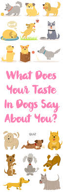 Any dog can be aggressive. What Does Your Taste In Dogs Say About You Aggressive Dog Dog Training Dog Training Aggression