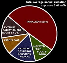 Xradon Com Keep Your Home Safe From Radon