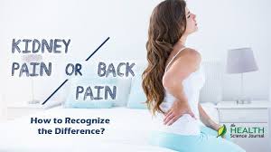 Pin On Healh Beauty