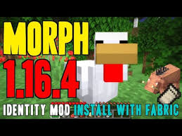 Identity Mod 1 16 4 Minecraft How To Download Install Morph Mod 1 16 4 With Fabric On Windows Youtube