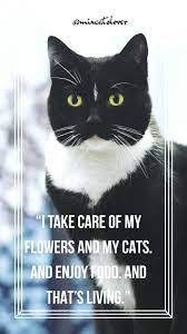 Explore 439 cats quotes by authors including christopher hitchens, terry pratchett, and winston churchill at brainyquote. Pin By Mixcatslover On Cat Quotes Cat Quotes Take Care Of Me Cats