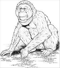 The phrase cool color is used to describe any color that is calm or soothing in nature. Apes Coloring Pages Coloringbay