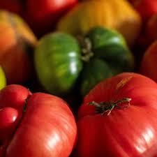 Photo Ce maraîcher est formel pour bien choisir vos tomates : les plus - MSN