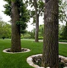 Discover ways to landscape a forgotten area that will make the tree and what it shades much more appea 39 Tree Borders Ideas Landscaping Around Trees Landscape Design Backyard Landscaping