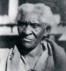 This is believed to be the earliest published engraving of Fort Hill and  the grounds, c. 1881. In the foreground, the artist por