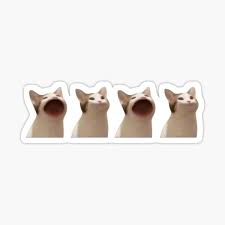 Bop Bop Cat Sticker By Cowbpy Art Redbubble