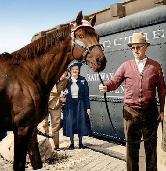 SEABISCUIT 🐴 👑 No one thought much of SEABISCUIT when he was born.He was  knobby-kneed,his head was too big him and his legs were too short,he looked  as if he would be