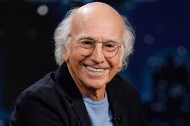 What did Larry David do before Seinfeld?