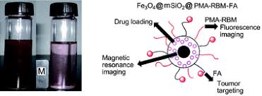 Pma is a stimulant in the amphetamine class. Modification Of Magnetic Silica Iron Oxide Nanocomposites With Fluorescent Polymethacrylic Acid For Cancer Targeting And Drug Delivery Journal Of Materials Chemistry Rsc Publishing