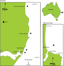 Secondary Predation Constrains Dna Based Diet Reconstruction In Two Threatened Shark Species Scientific Reports