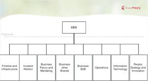 2 Organization Chart Of Fleury Group Source Fleury Group