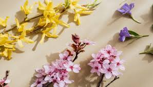 Maybe you would like to learn more about one of these? Organic Flowers 10 Flower Shops To Buy Organic Flowers Ecomasteryproject