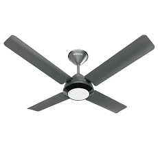 To assist you with choosing which ceiling fan to purchase for your home we got the havells nicola ceiling fans installed at our new house. Buy Havells Olivia 1200mm Ceiling Fan Slate Black Chrome Online At Low Prices In India Amazon In