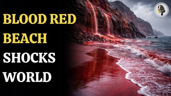 Why Iran’s Beach Turned Blood Red | WION Podcast