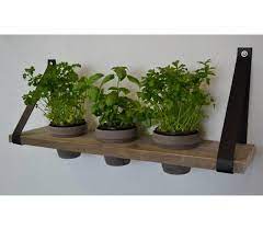 plantenrek muur binnen google zoeken muur met planten plant muur buiten potten