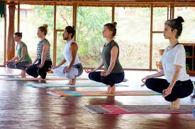 The jivamukti yoga method is a proprietary style of yoga created by david life and sharon gannon in 1984. 14 Days Intermediate Advanced Level Yoga Retreat At Ayuryoga Eco Ashram Mysore India