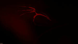 Tons of awesome kali linux android wallpapers to download for free. Ultra Hd 4k Amoled Wallpaper 1440p