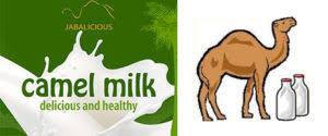 I have read many people stating the hadith that women are cursed if they wear their hijab like camel humps. One Hump Or Two Camel S Milk As A New Alternative Medicine Skepdoc