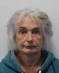 Climate protester, 70, glues herself to building