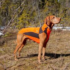 Eddie High Visibility Reflective Orange Jumper for Dogs