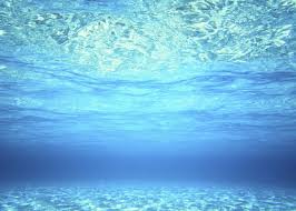 Image result for water